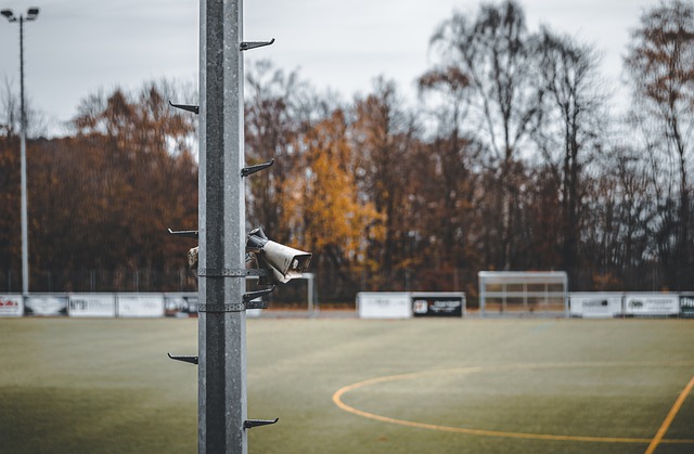 能有效调节 能有效调节
