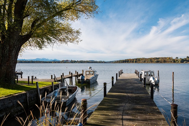 接纳外国人 接纳外国人