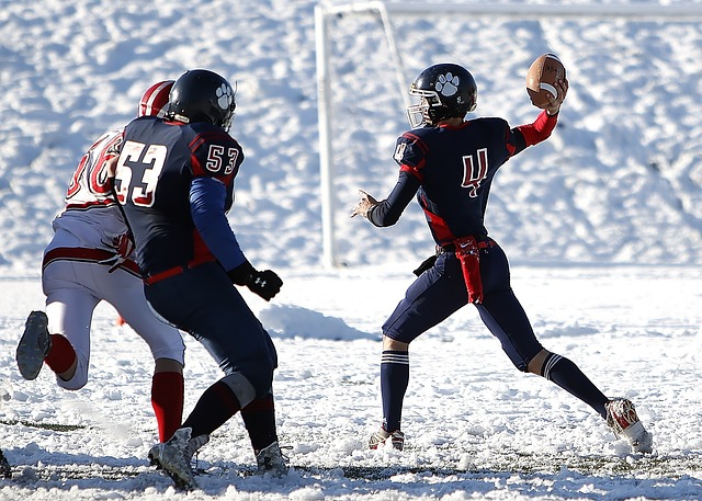 弗莱堡的主 弗莱堡的主