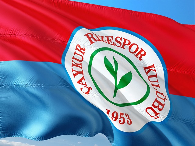 最新排名显 最新排名显