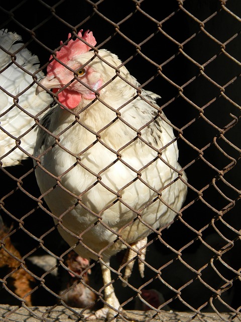 更充分展示 更充分展示